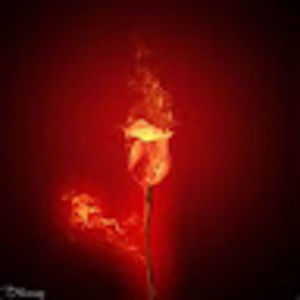 Meet your Posher, Esther